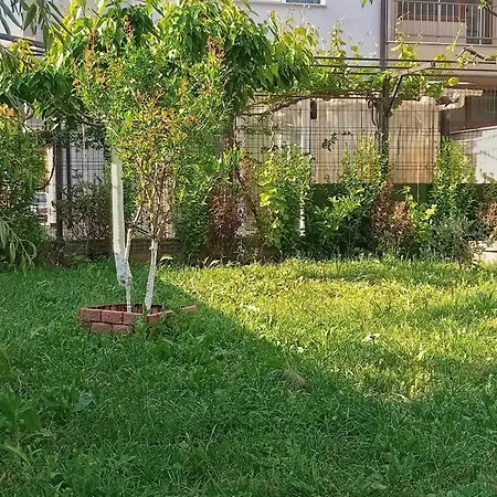 Apartment Bvine *